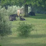 Castello Di 4* Giomici
