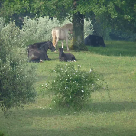 Castello Di 4* Giomici