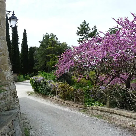 Castello Di 3*